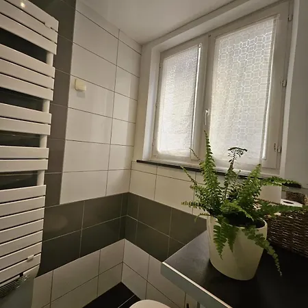 Apartment Diane's En Champagne Centre Wifi Cuisine Equipee Minibar