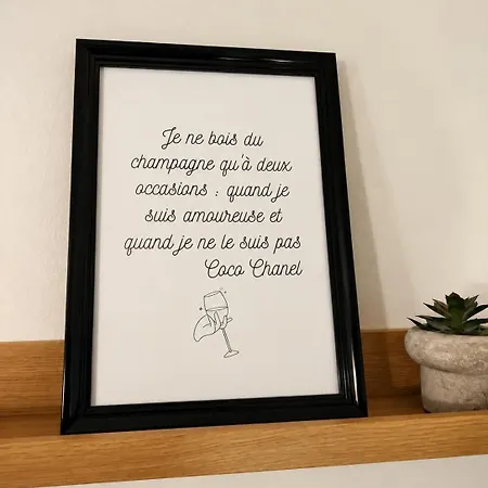 Diane's En Champagne Centre Wifi Cuisine Equipee Minibar Apartment *